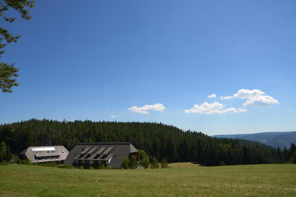 Hotel Schoene Aussicht Hornberg Luaran gambar